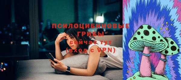 PSILOCYBIN Алексин